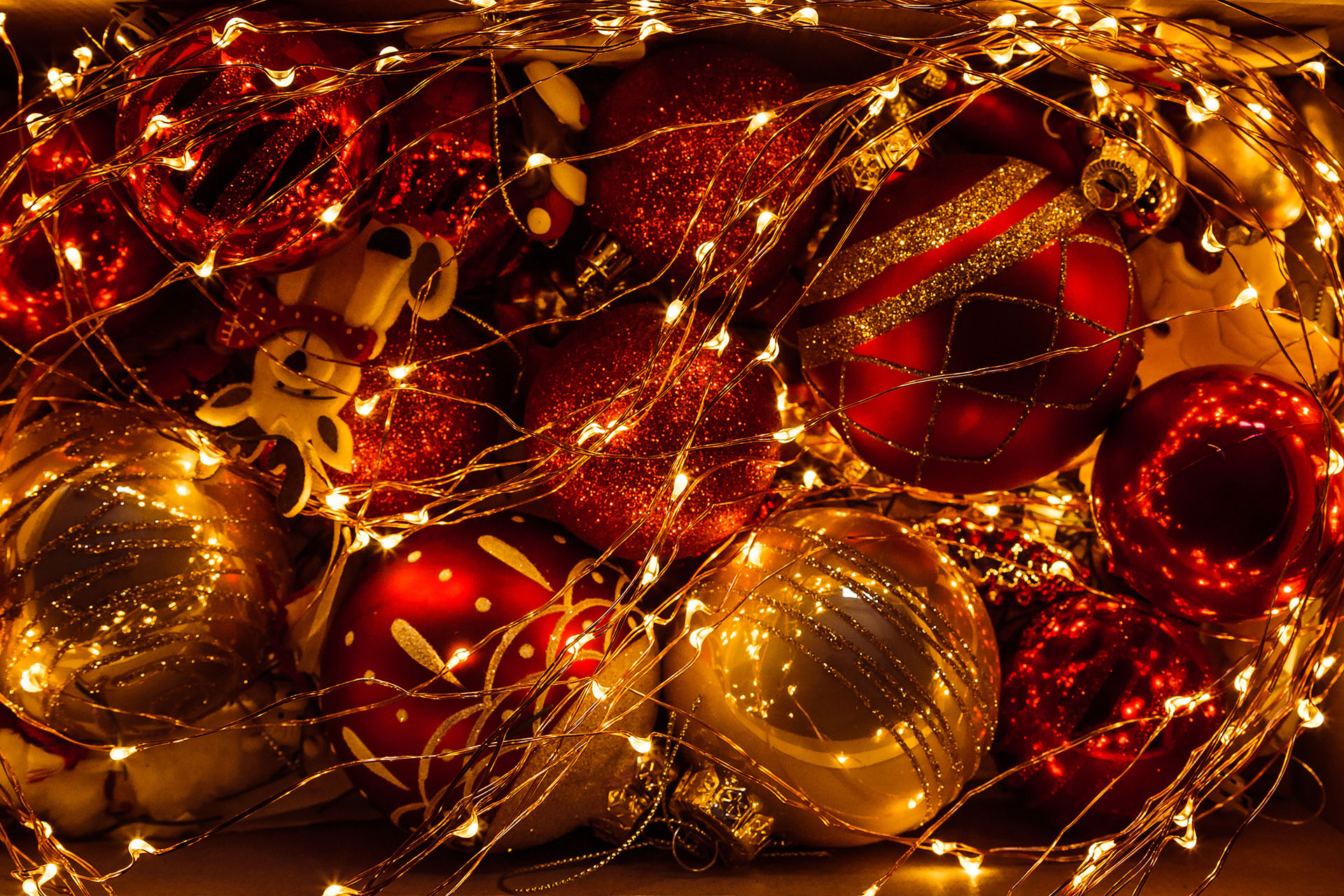 Cuba Club Weihnachtsferien